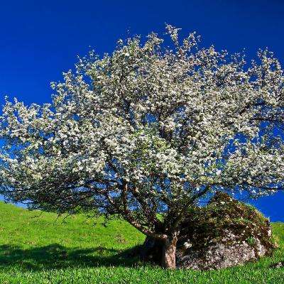 乐彩网app官方正版下载