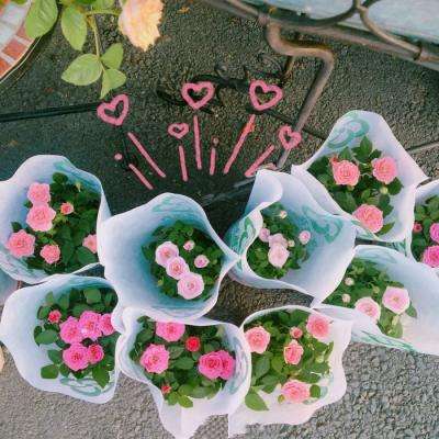 云平台app手机版下载