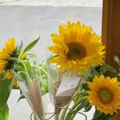 爱游戏综合官方网站App下载